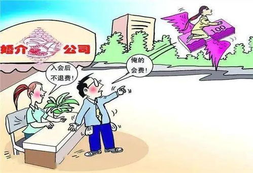 婚介服務(wù)期已過(guò)，脫單未成費(fèi)用能退嗎？法院判決揭示關(guān)鍵